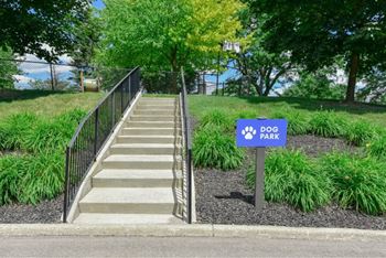 Dog park with agility equipment